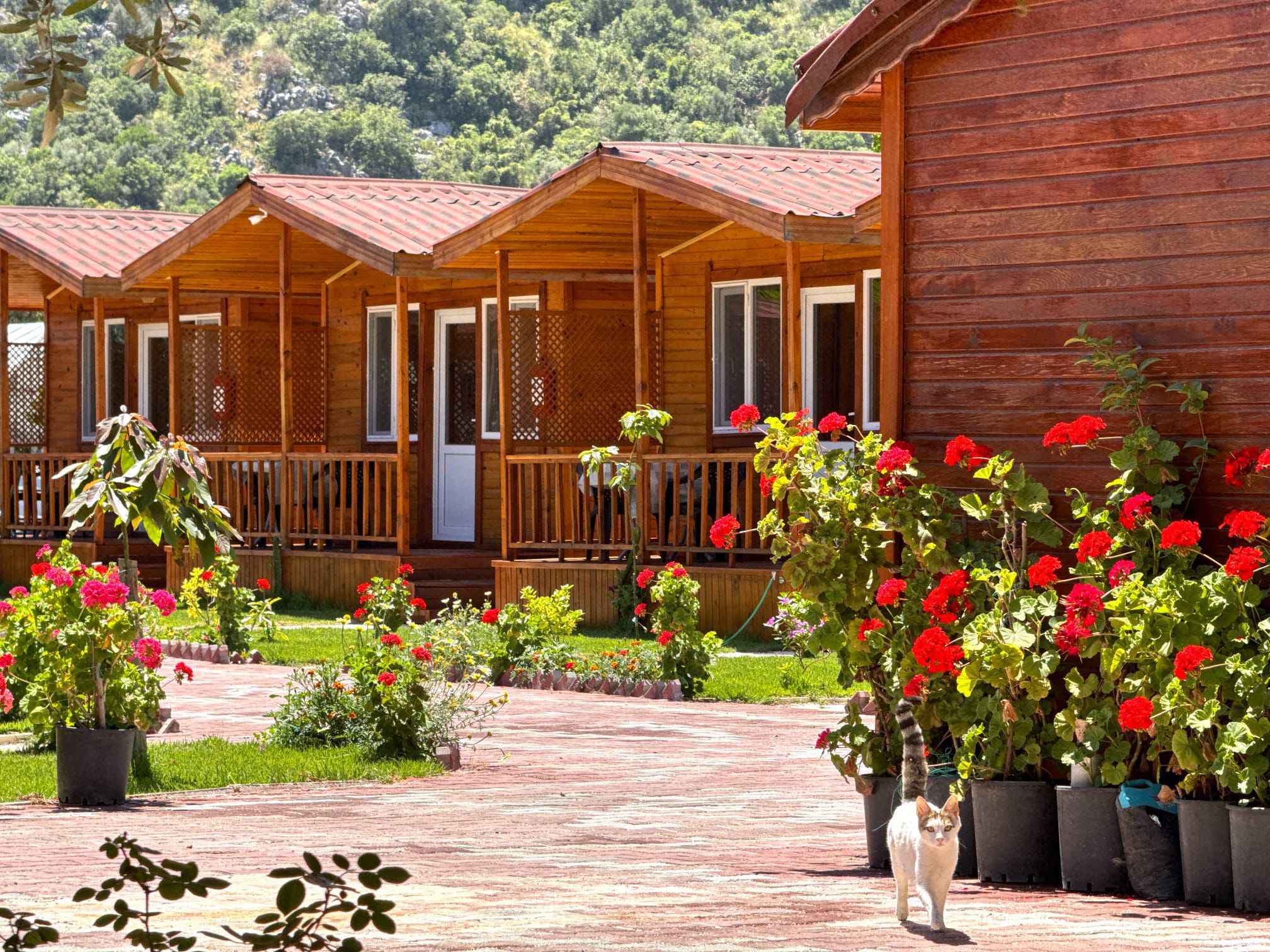 Venüs Gold Bungalov Adrasan Instagram