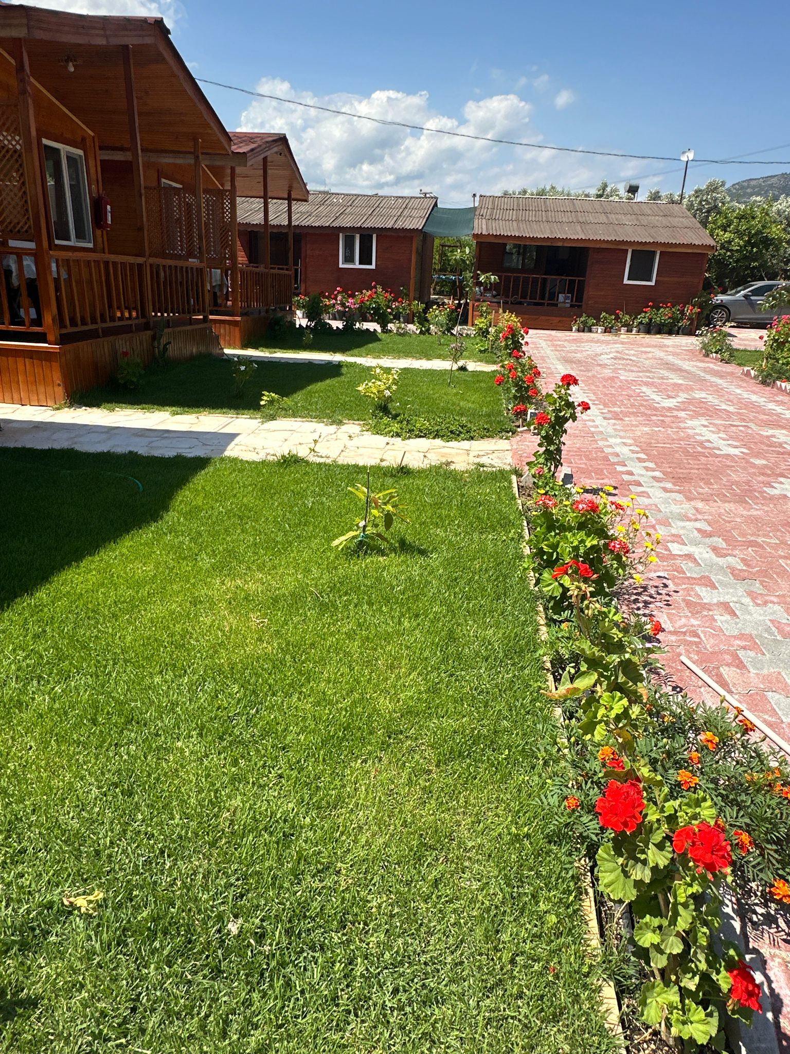 Venüs Gold Bungalov Adrasan Instagram